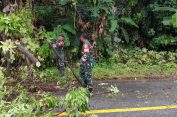 ‎Kerja Cepat Koramil 05/Samadua Bersama Warga Bersihkan Pohon Tumbang di Ujung Tanah