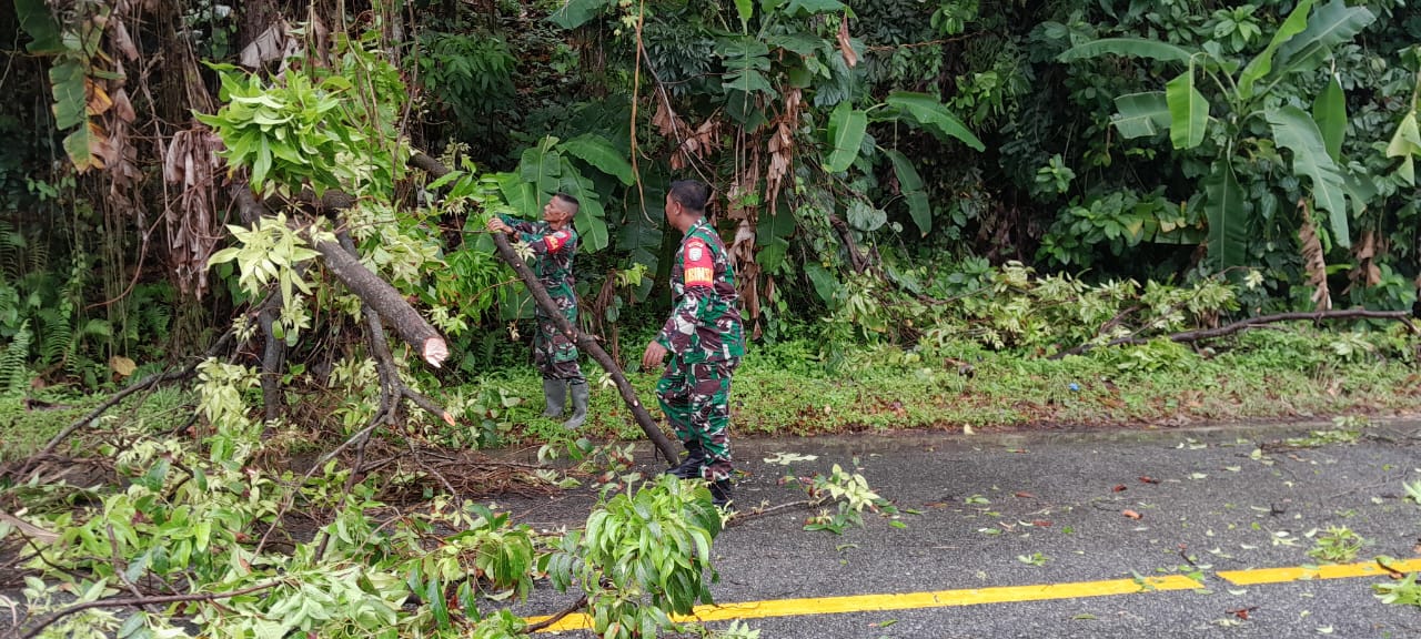 ‎Kerja Cepat Koramil 05/Samadua Bersama Warga Bersihkan Pohon Tumbang di Ujung Tanah