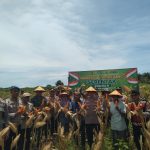 Polres Aceh Selatan Gelar Panen Raya Jagung Serentak Kuartal III, Dukung Ketahanan Pangan Nasional
