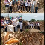 H. Durasa Lembong, Kepala Desa Subulussalam Utara, Berkomitmen Di Bidang Ketahanan Pangan