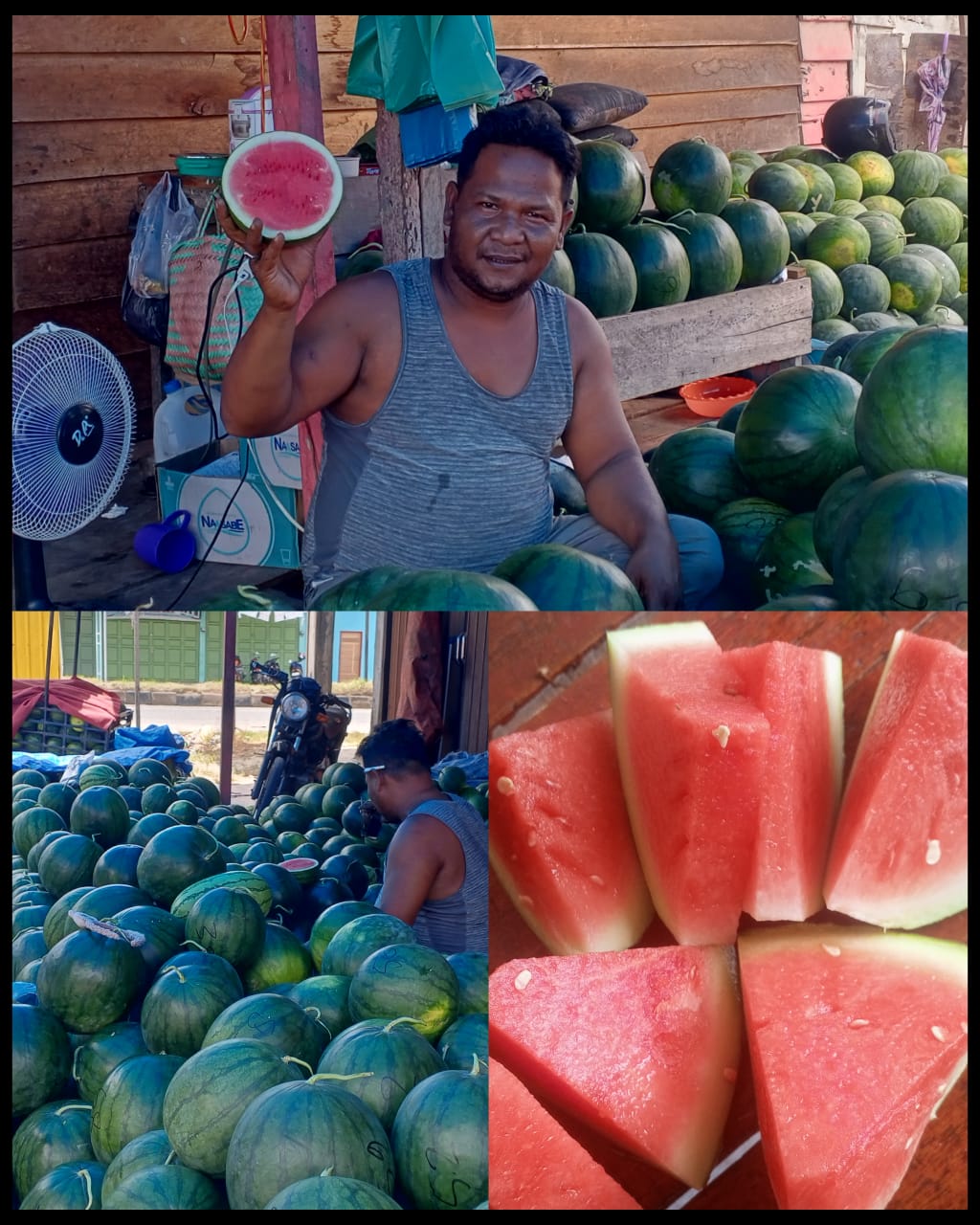 Buah Semangka Hasil Budidaya Petani Kota Subulussalam, Lebih Tahan Lama, Serta Rasa Yang Memuaskan.