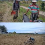 Akibat Saluran Irigasi Macet, Ratusan Hektar Sawah di Kluet Utara Terancam Gagal Tanam