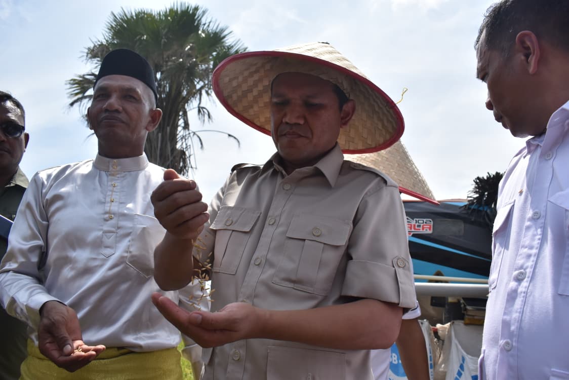 Panen Cepat Berkat Pupuk P 2000 Z, Wagub Fadhlullah Dorong Replikasi ke Daerah Lain