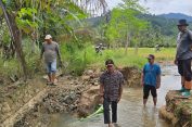 Tinjau Sawah Warga di Kluet Tengah Pasca Banjir, PLT Bupati Aceh Selatan Pastikan Penanganan Secara Konkret dan Berkelanjutan