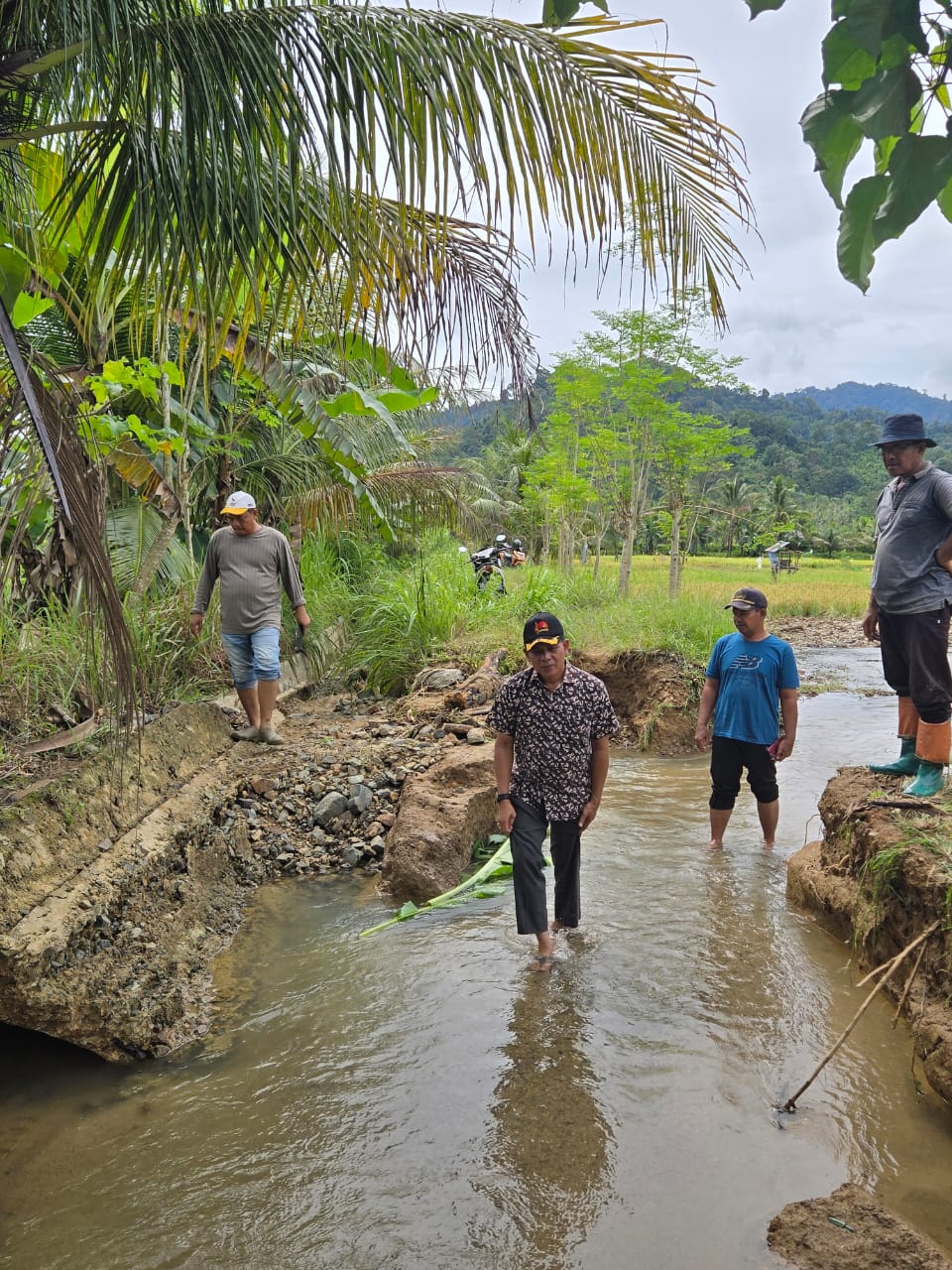 Tinjau Sawah Warga di Kluet Tengah Pasca Banjir, PLT Bupati Aceh Selatan Pastikan Penanganan Secara Konkret dan Berkelanjutan