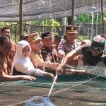 Plt Bupati Aceh Selatan Tinjau Pembangunan Koperasi Merah Putih serta Panen Cabai dan Lele di Samadua