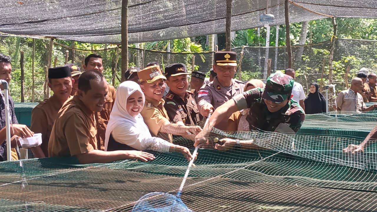 Plt Bupati Aceh Selatan Tinjau Pembangunan Koperasi Merah Putih serta Panen Cabai dan Lele di Samadua