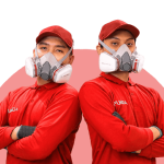 Waspada Serangan Rayap di Jakarta, Ini Solusi Perlindungan Bangunan yang Tepat