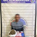 Satresnarkoba Polres Aceh Selatan Ungkap Kasus Ganja, Satu Pengedar Diamankan