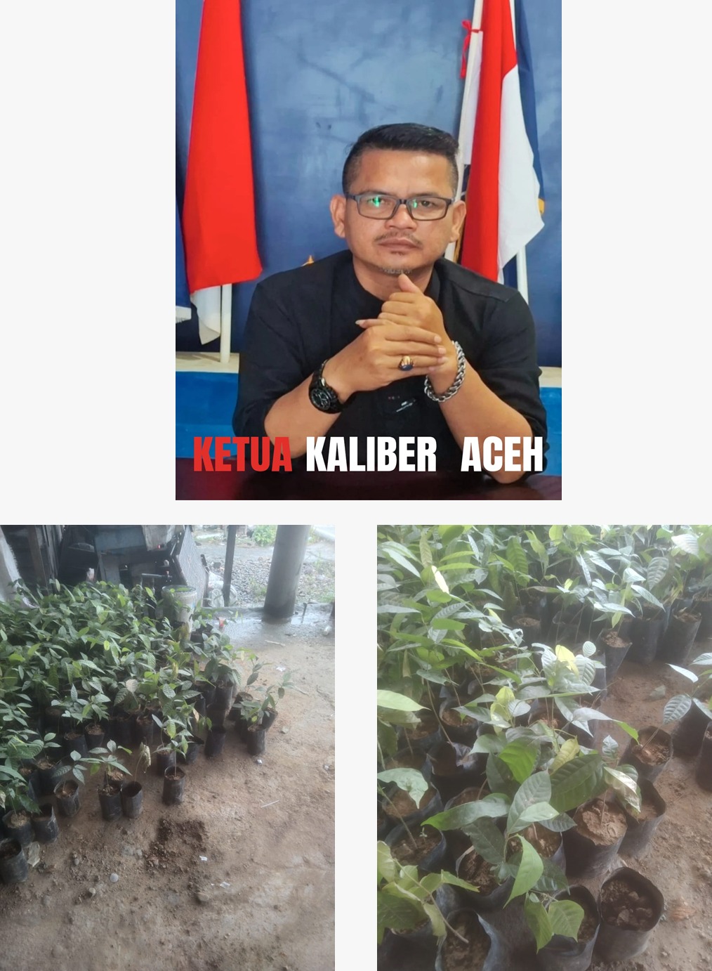 Lsm KALIBER Desak Kejaksaan Agung RI, Secepatnya Dalami Pengadaan Bibit Kakao Desa dan Pembukaan Jalan di Kecamatan Leuser Tahun 2025