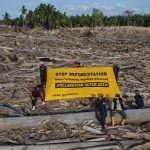 Yayasan HAkA: Deforestasi di Aceh Harus Dihentikan untuk Mengakhiri Banjir Berulang