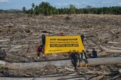 Yayasan HAkA: Deforestasi di Aceh Harus Dihentikan untuk Mengakhiri Banjir Berulang