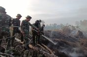 Padamkan Karhutla, Dandim 0107/Aceh Selatan Letkol Inf Andrino D.N. Lubis, S.Sos., Turun Langsung ke Titik Lokasi