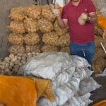 ‎Rumah Tani Nusantara Selamatkan Hasil Pertanian Aceh Tengah, Ratusan Ton Kentang Dikirim ke Jakarta