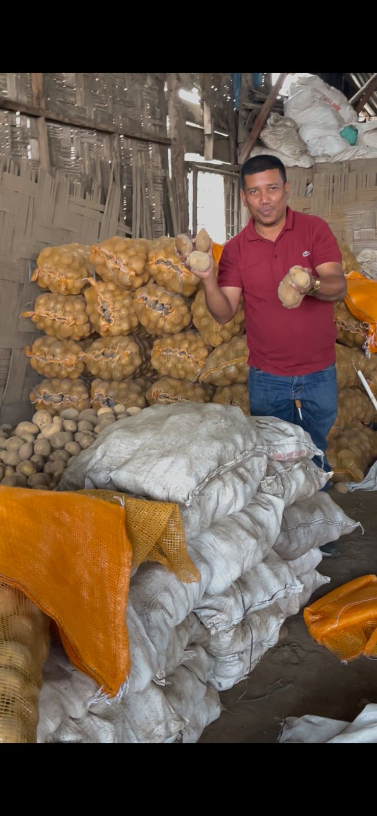 ‎Rumah Tani Nusantara Selamatkan Hasil Pertanian Aceh Tengah, Ratusan Ton Kentang Dikirim ke Jakarta
