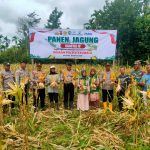 Polres Pidie Panen Jagung Kuartal IV 2025, Dukung Swasembada Pangan Nasional 2026