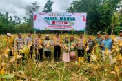 Polres Pidie Panen Jagung Kuartal IV 2025, Dukung Swasembada Pangan Nasional 2026