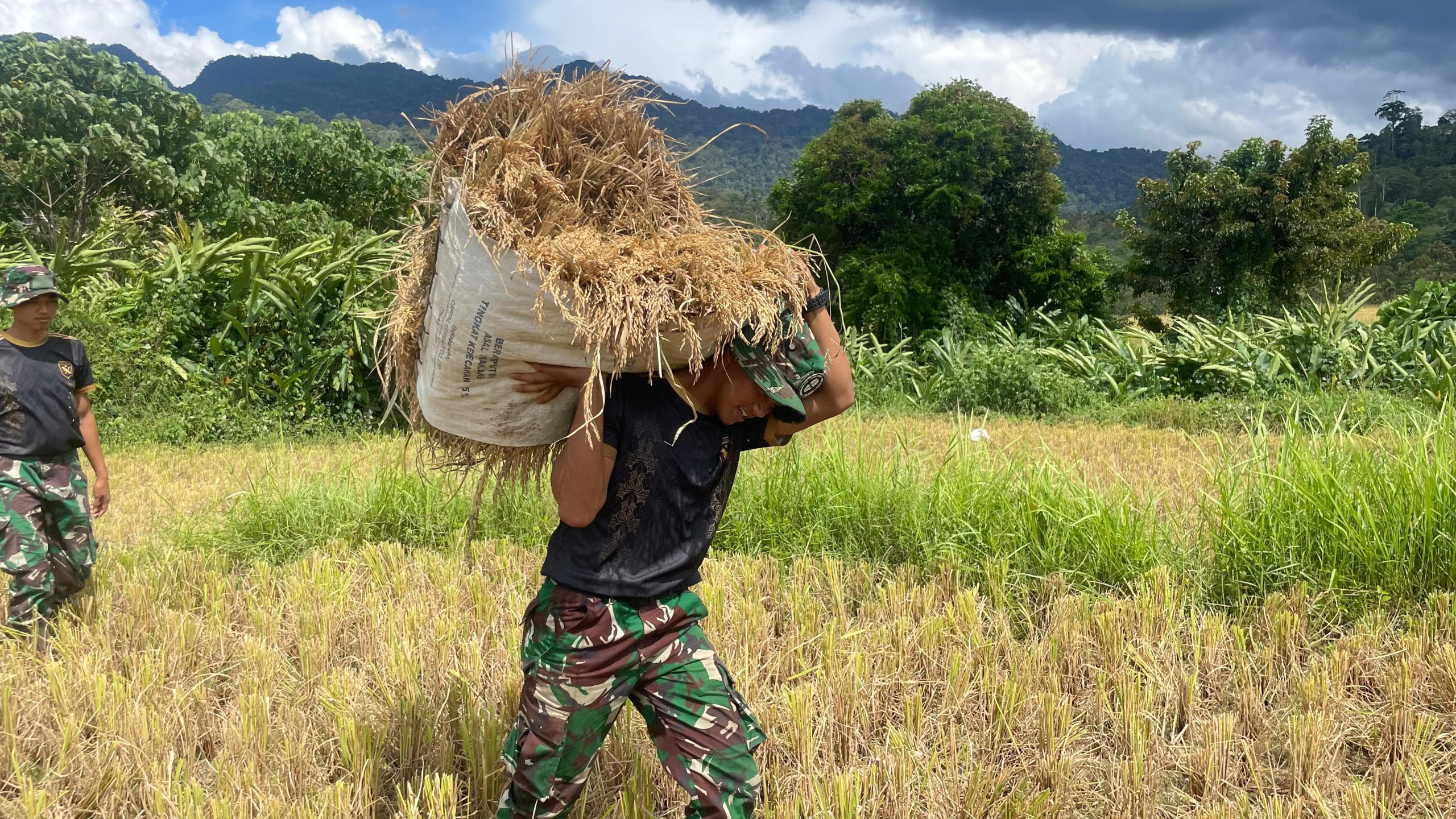 Semangat Kebersamaan, Personel Brigif TP 90/YGD Bantu Petani Panen Padi