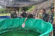 Turun ke Lahan, Danrem 012/Teuku Umar Tebar Benih Lele di Aceh Selatan: TNI Gaspol Dukung Ketahanan Pangan