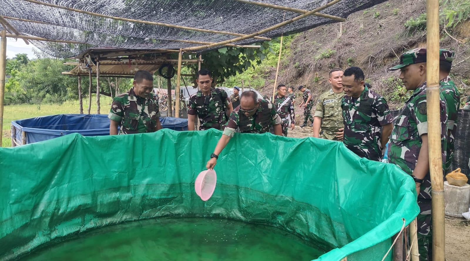 Turun ke Lahan, Danrem 012/Teuku Umar Tebar Benih Lele di Aceh Selatan: TNI Gaspol Dukung Ketahanan Pangan