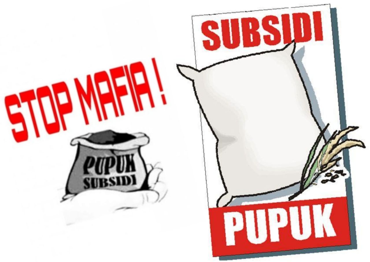 Petani Leuser Mengeluh, Harga Pupuk Urea Subsidi Tembus Rp125 Ribu per Zak